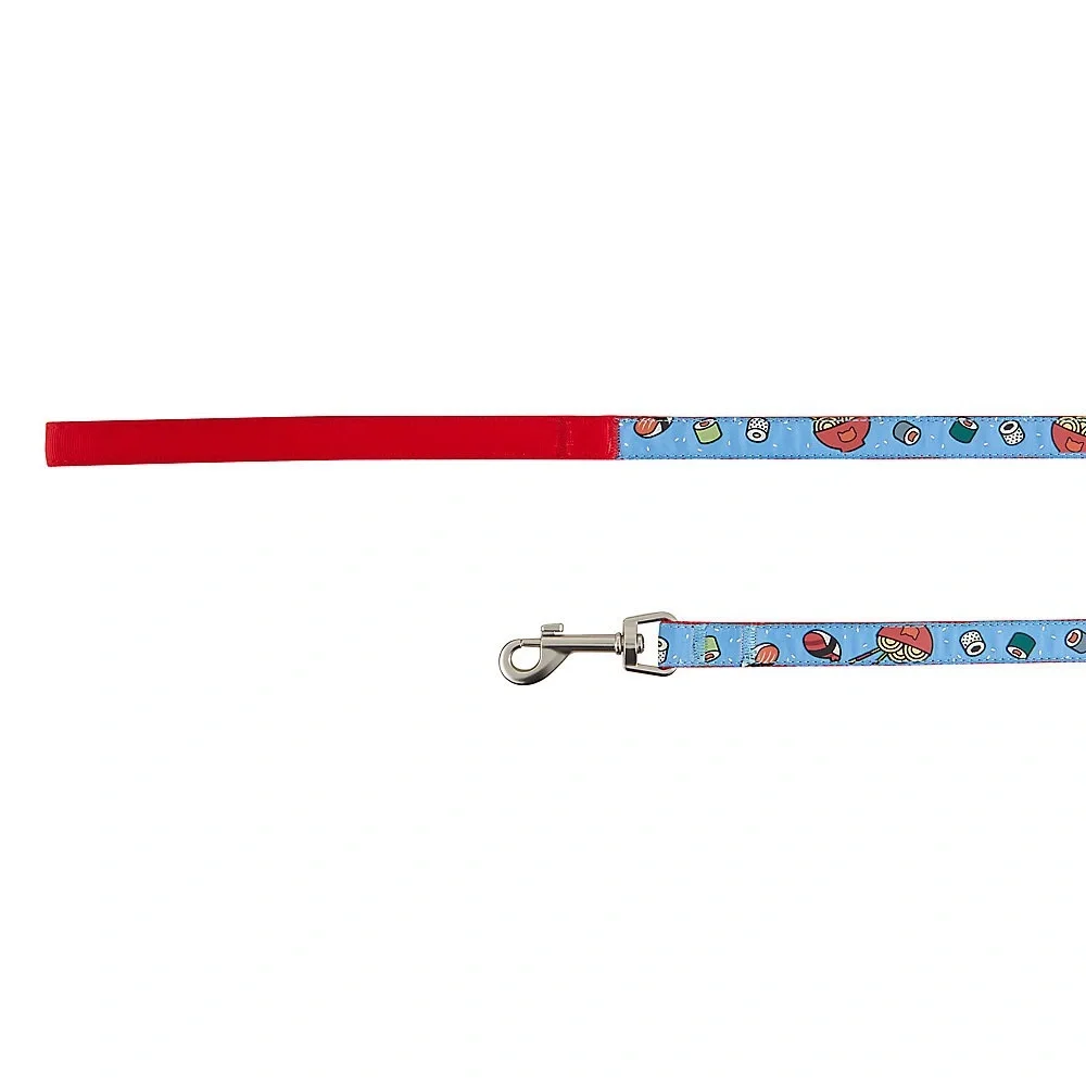 Kitten leash & harness